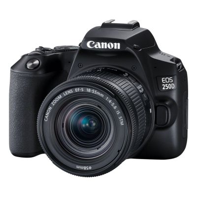 3. Canon EOS 250D camera (3454C002)