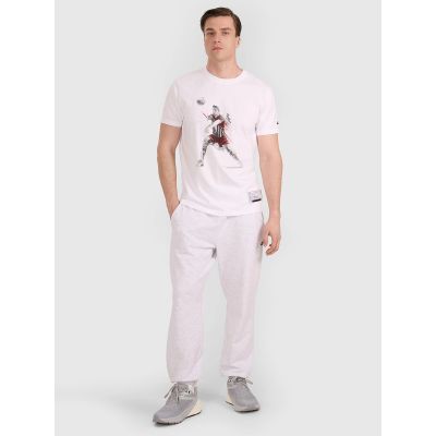 4. Men's regular t-shirt with volleyball print 4F 4FRAW25TTSHM3237-10S