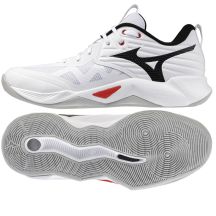 Mizuno WAVE MOMENTUM PRO V1GA254059 shoes