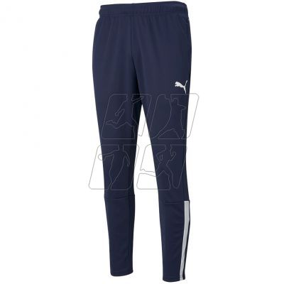 Puma teamLiga Training Pants M 657242 06