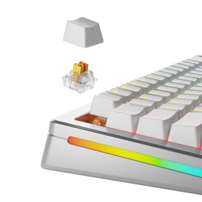 2. Glorious Gaming GLO-KB-ACC-SWT-PANDA-HE-36 no category