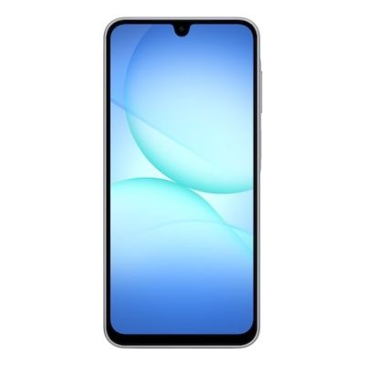 6. Samsung Galaxy A17 (A175) DS 4/128GB Grey