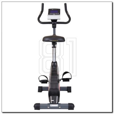 41. HMS Premium M1829-i magnetic bike