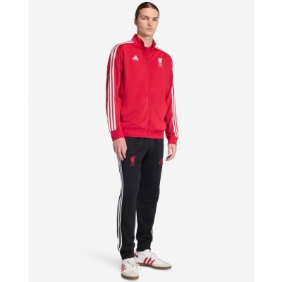 3. adidas Liverpool LFC DNA sweatshirt JW7892