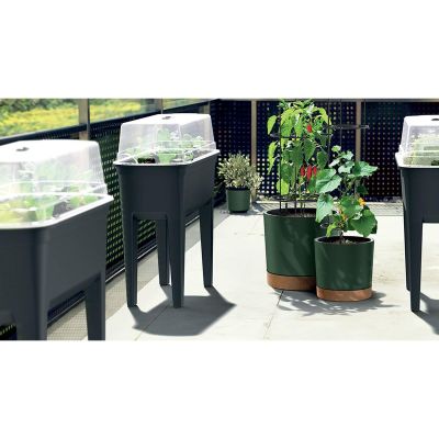 3. TOMATO PLANTING POT WITH LADDER CAPACITY 35L HOME GROWER ANTHRACITE