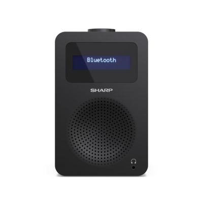 Sharp DR-430 Personal Digital Black
