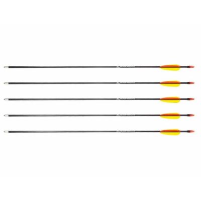 3. Poe Lang 28" Fiberglass Arrows - Set of 5 (D-055-B3)