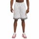 4. Karl Kani Small Signature Pinstripe Mesh Short M 6014921
