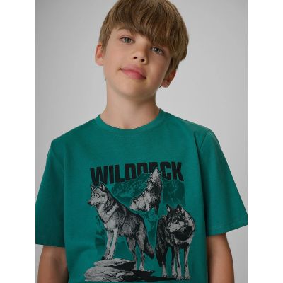 3. Boy's regular printed T-shirt 4F 4FJKAW26TTSHM4455-46S
