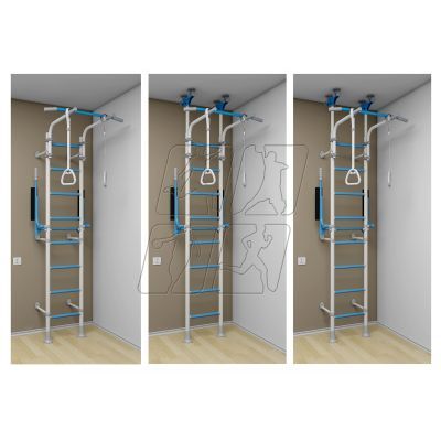 9. Wallbarz Gym EG-W-055 ladder
