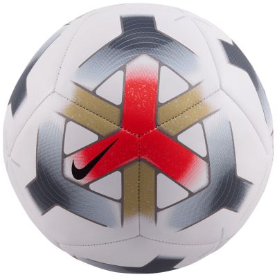2. Nike Pitch IQ0646-100 Ball