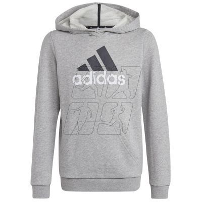 Sweatshirt adidas Big Logo 2 Hoody Jr. HB4362