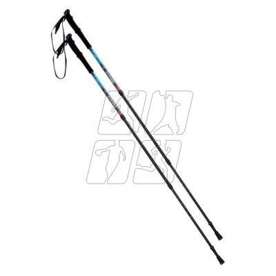 Pokara trekking poles