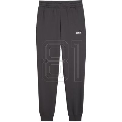 3. Puma ESS 2 Color No. 1 Logo Pants M 684713 44