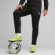 10. Puma Team Goal Training Pants M 658639 03