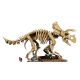 31. LEGO Jurassic World 77985 - Dinosaur Skeletons: Triceratops