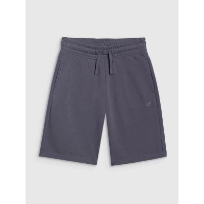 6. Boys' sweatpants 4F 4FJRSS25TSHOM684-22S