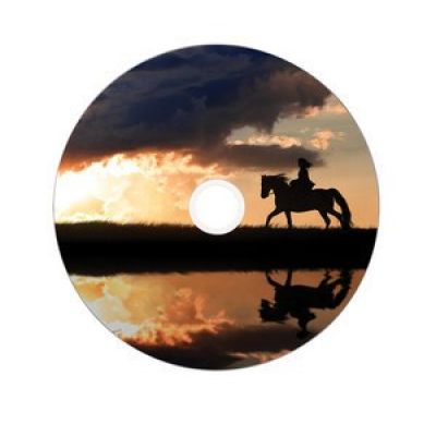 3. Verbatim 43703 DVD disc 8.5 GB DVD-R DL 50 pcs.