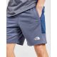 3. The North Face Men's Fleece Shorts Comfortable Sporty Style
