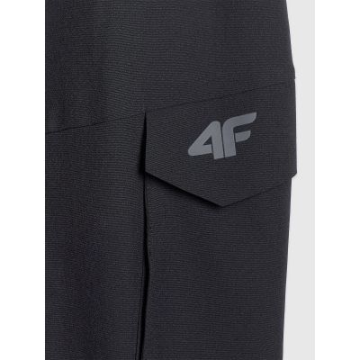 2. Men's quick-drying training pants 4F 4FWAW25TFTRM0887-20S
