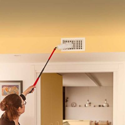 2. Vileda long-handled duster + 1 Flex&Catch insert