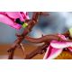 14. LEGO Botanicals 11510 - Magnolia Branches