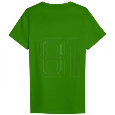 2. T-shirt 4F M3095 M 4FWSS25TTSHM3095 41S
