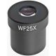 Magnification: 25x. Size: 30 mm