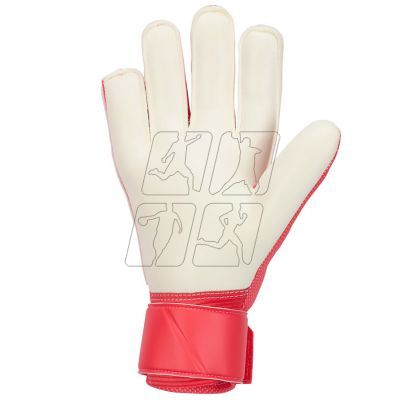 3. Nike Match Goalkeeper Gloves HQ0257-850