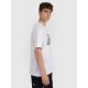 3. Men's regular printed T-shirt 4F 4FRAW25TTSHM3259-10S