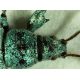 7. Delta Optical BioLight 100 microscope (blue)