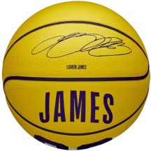 Wilson NBA Player Icon LeBron James Mini Ball Basketball WZ4027701XB