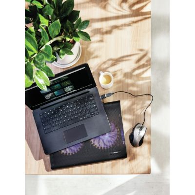 3. TRUST Azul 20104 Cooling Pad (17.x inch; 2 Fans; HUB)