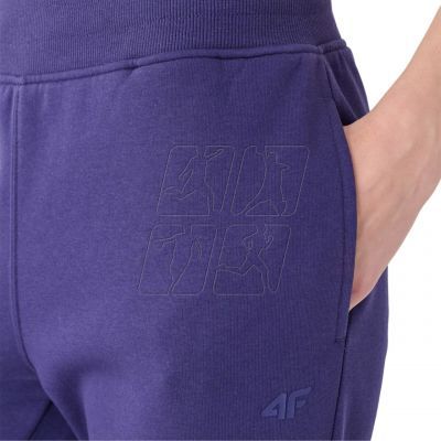 4. Trousers 4F F0946 W 4FWMM00TTROF0946 31S