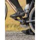 2. NORTHWAVE Flagship R GTX Cycling Shoes