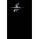 21. Ledlenser P7R 502187 flashlight