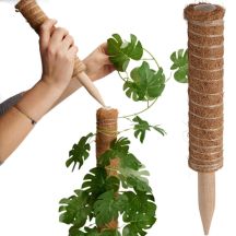 COCONUT PLANT SUPPORT 30CM PROGARDEN