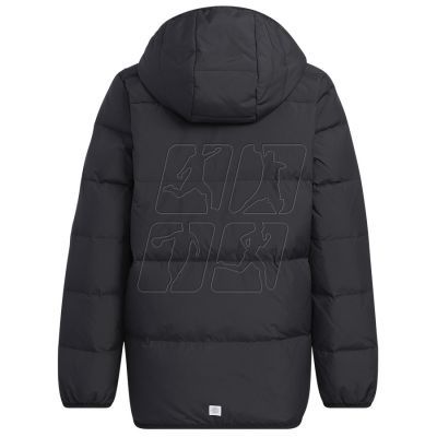 4. Jacket adidas Frosty Jacket Jr. HM5205