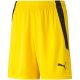 4. Puma teamLIGA Shorts Jr 704931 07