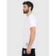 5. Men's regular printed T-shirt 4F 4FRAW25TTSHM3845-10S