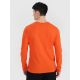 5. Longsleeve oversize smooth men's 4F 4FRSS25TLONM518-70S