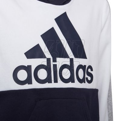 3. Adidas Colorblock Fleece Jr HC5659 sweatshirt