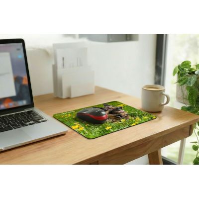 14. Esperanza Photo Mix Mouse Pad EA133
