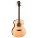 Luna Artist Deco - electro-acoustic guitar
