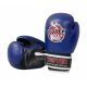 RPU-TT KIDS Boxing Gloves 8 oz