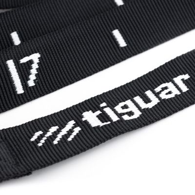 2. tiguar gymnastic rings