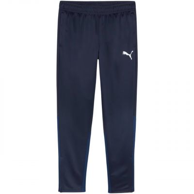 Puma Team Goal Training Pants M 658639 06