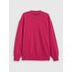 6. Unzipped sweatshirt without hood 4F 4FRAW25TSWSF2777-53S