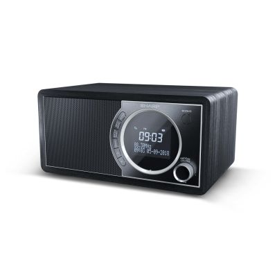 3. Sharp DR-450 Personal Digital Black Radio, Stainless Steel