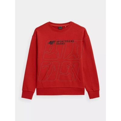 6. Sweatshirt 4F Jr. 4FJSS23TSWSM222-62S